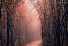 三连客仅剩2战:火箭防守仍前三双核驱动 乌度卡最强阵何惧KD?.