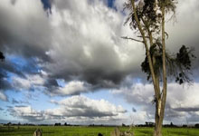 [德甲]第4轮：圣保利VS莱比锡.